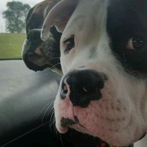 Meet your Posher, Lindsie